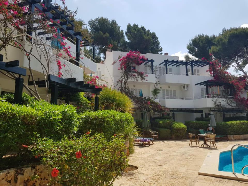 Apartamentos Los Tilos Peguera Extérieur photo